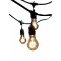 Happylight 48-foot Black String Light with Fifteen 25 Watt A19 Nostalgic Incandescent Light Bulbs HA2528407